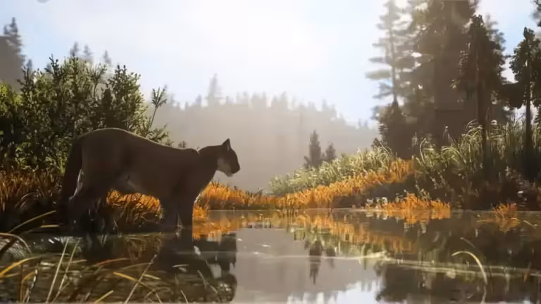 Far Cry 5