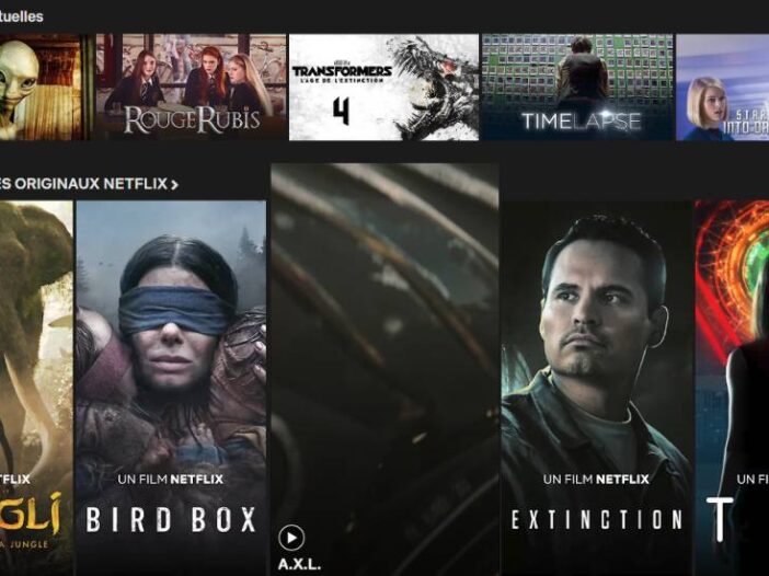 Code Secret Netflix - Accéder aux films et séries cachés