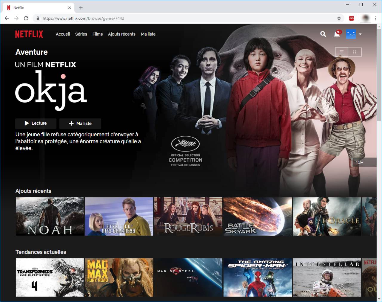 Code Secret Netflix - Accéder aux films et séries cachés - URL avec Code Secret