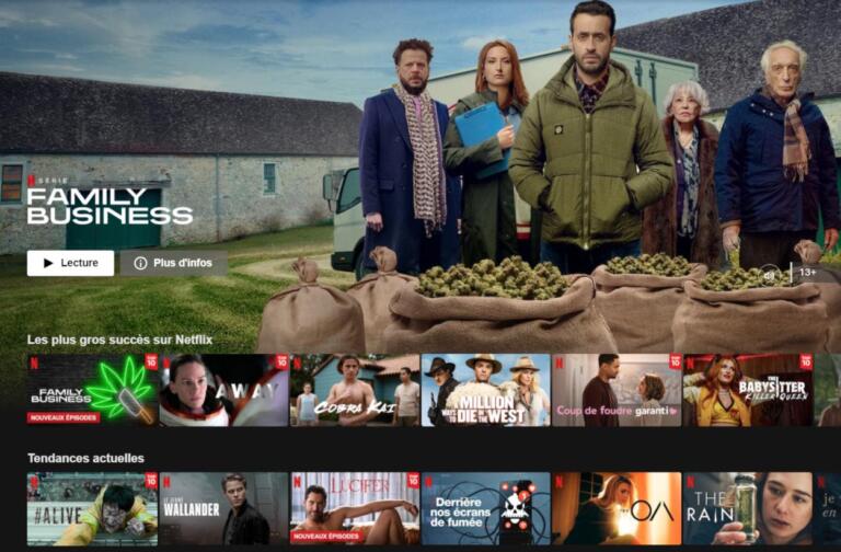 Abonnement Netflix Prix 2023 : Quel abonnement choisir ?
