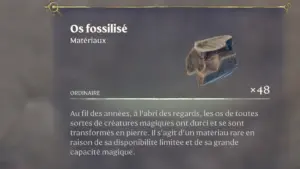 Os fossilisé Enshrouded