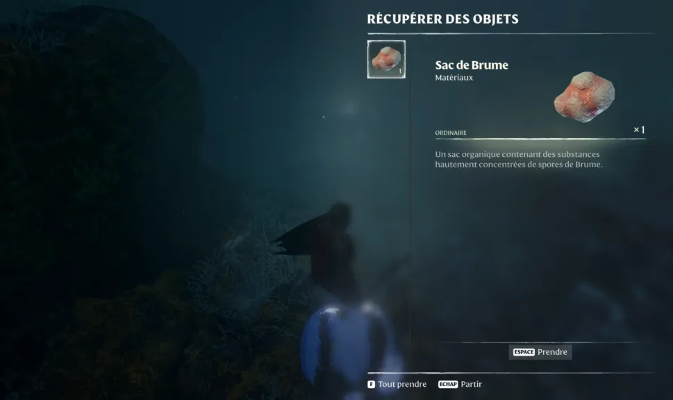 Enshrouded - récupérer sacs de brume