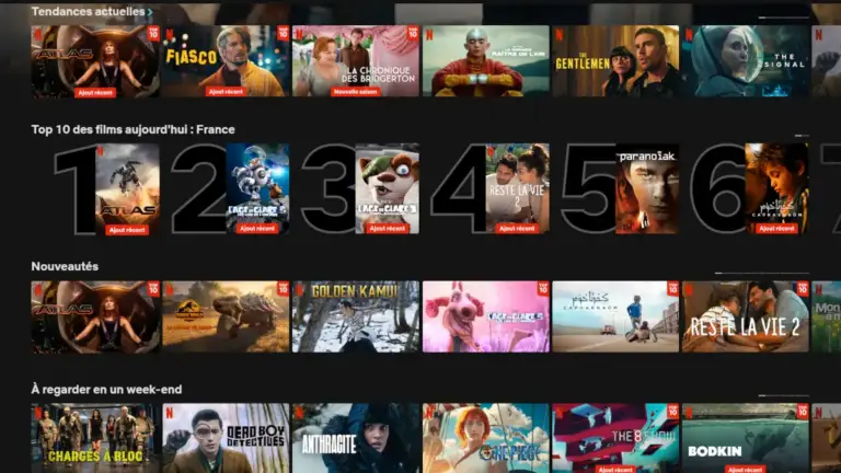 Prix Netflix : Quel abonnement choisir en 2024 ?