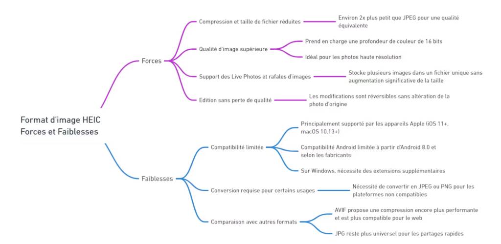 Schéma forces et faiblesses du format image HEIC