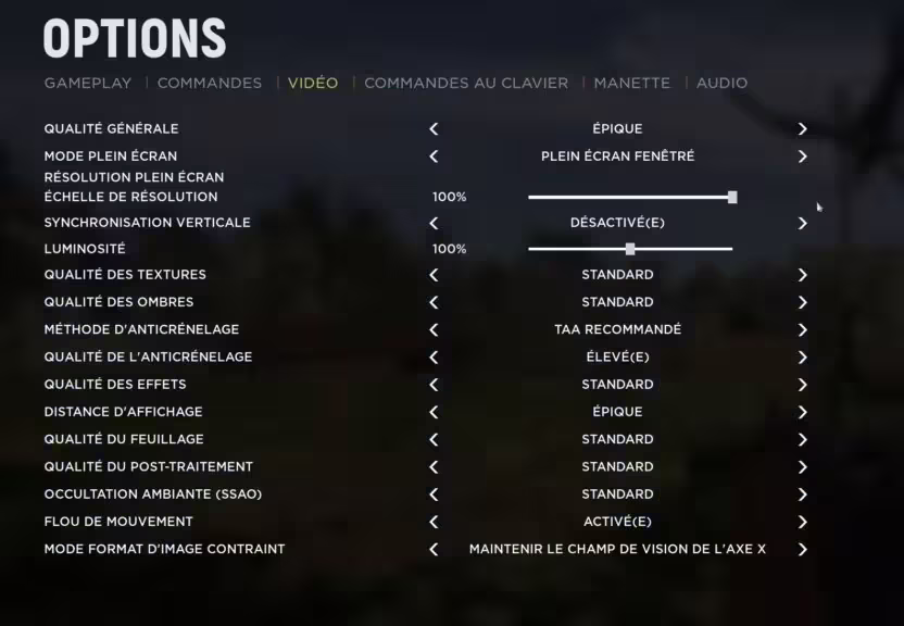 Hell Let Loose options graphiques