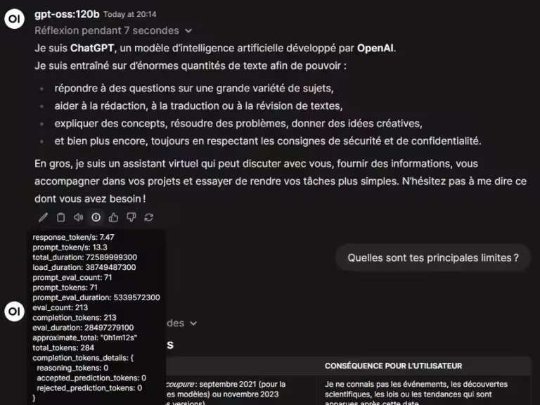 Test GPT-OSS 120B sur RTX 5090